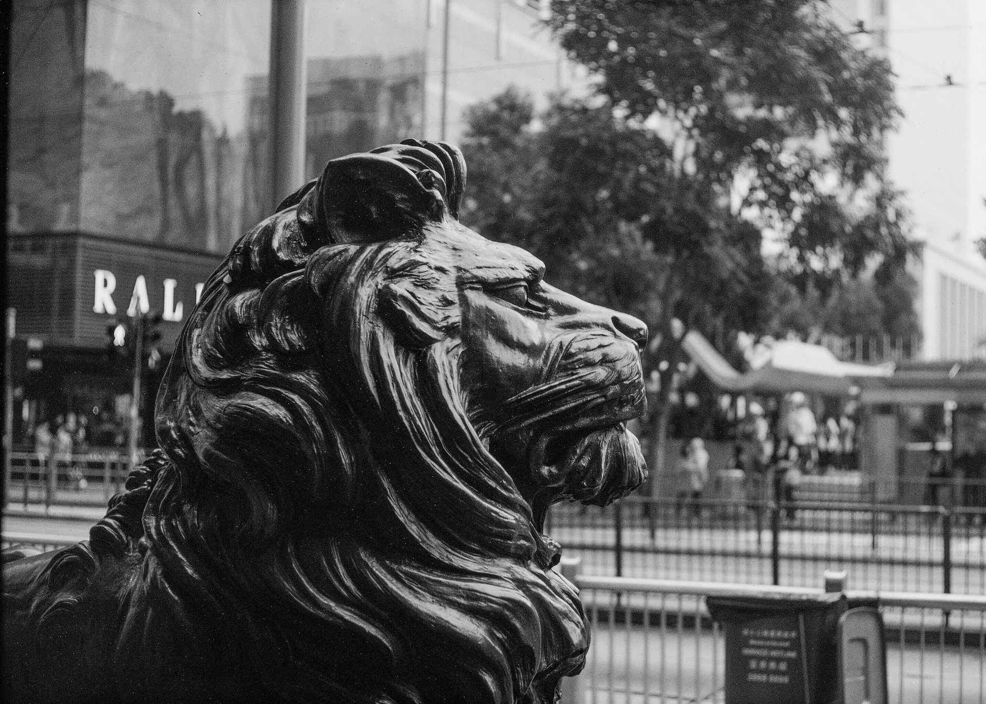 grayscale-photo-of-lion-statue-975437